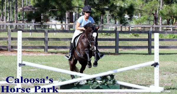 Caloosa's Horse Park