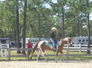 Caloosa Horse show