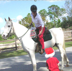Caloosa Horse